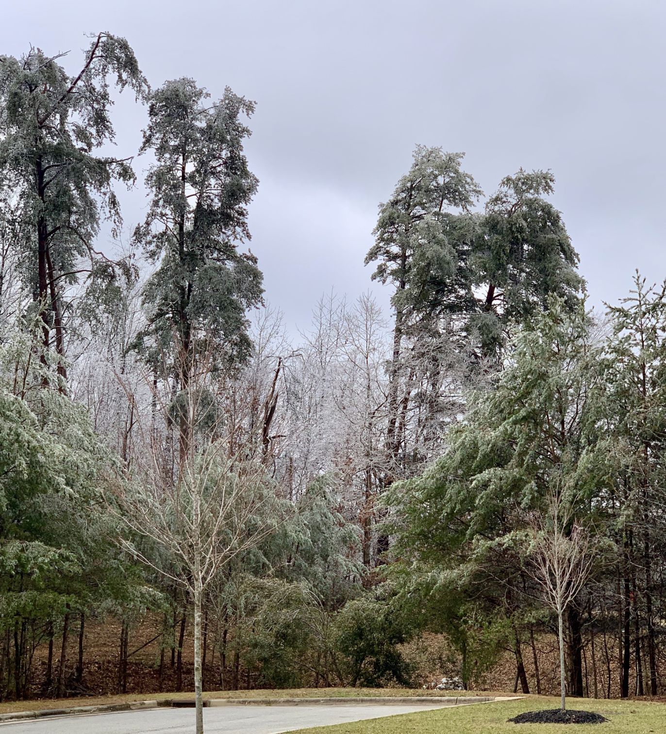 Near Pope Park